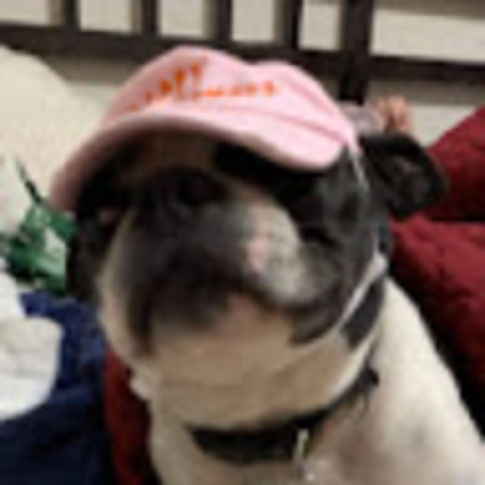 Meet your Posher, Katalina